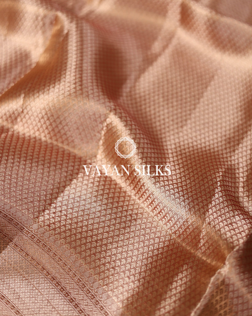 Rust Pure Tissue Silk Saree