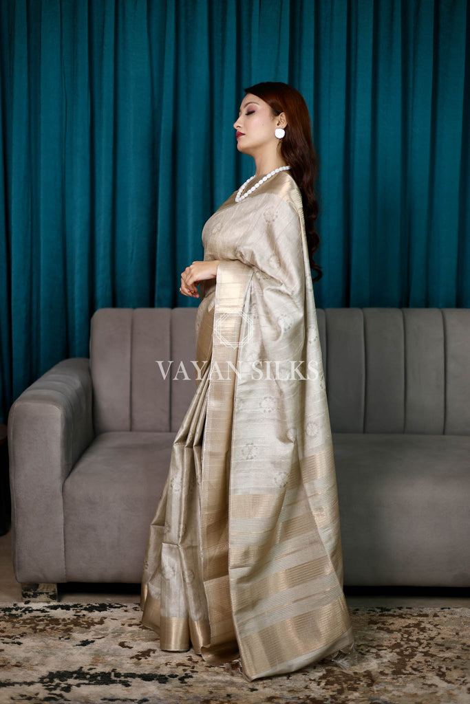 Grey Beige Printed Semi Tussar Saree