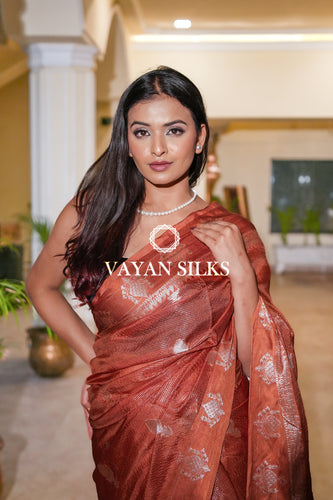 Terracotta Banarasi Katan Silk Saree