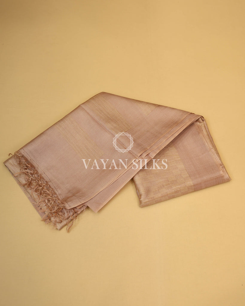 Light Beige Brown Handwoven Pure Tussar Silk Saree