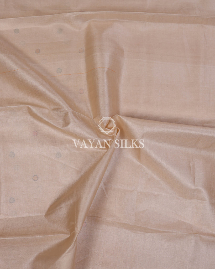 Cream Embroidered Pure Tussar Silk Saree