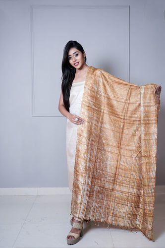 Beige Gold Color Printed Suit Set